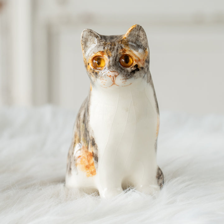 【Winstanley Cat ウィンスタンレイ キャット】愛嬌のある表情や柄が目を惹く キャリコ 三毛猫 /26E