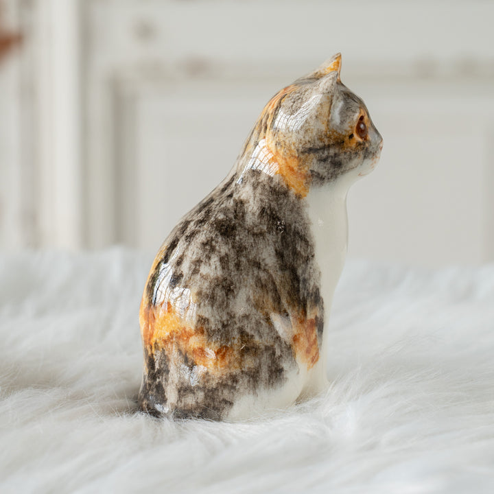 【Winstanley Cat ウィンスタンレイ キャット】愛嬌のある表情や柄が目を惹く キャリコ 三毛猫 /26E