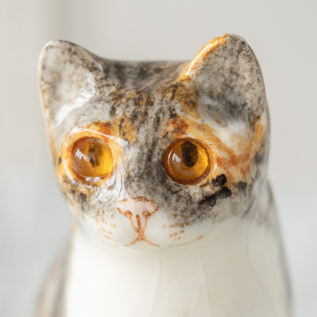 【Winstanley Cat ウィンスタンレイ キャット】愛嬌のある表情や柄が目を惹く キャリコ 三毛猫 /26E