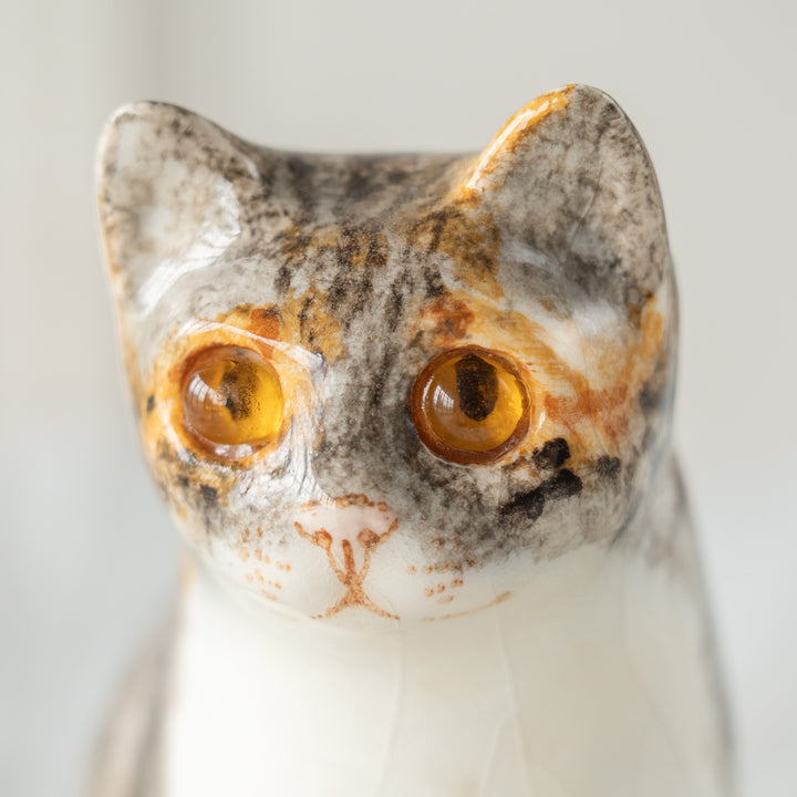 【Winstanley Cat ウィンスタンレイ キャット】愛嬌のある表情や柄が目を惹く キャリコ 三毛猫 /26E