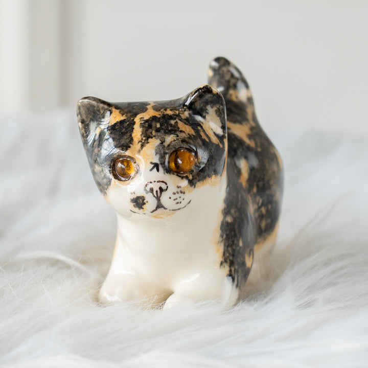 【Winstanley Cat ウィンスタンレイ キャット】クリームパンの様な手が愛らしい キャリコ 三毛猫 /26E