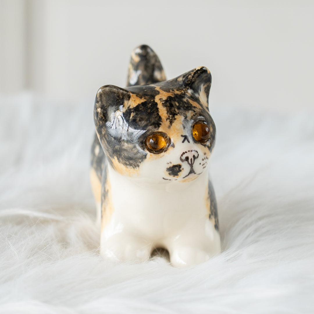 【Winstanley Cat ウィンスタンレイ キャット】クリームパンの様な手が愛らしい キャリコ 三毛猫 /26E