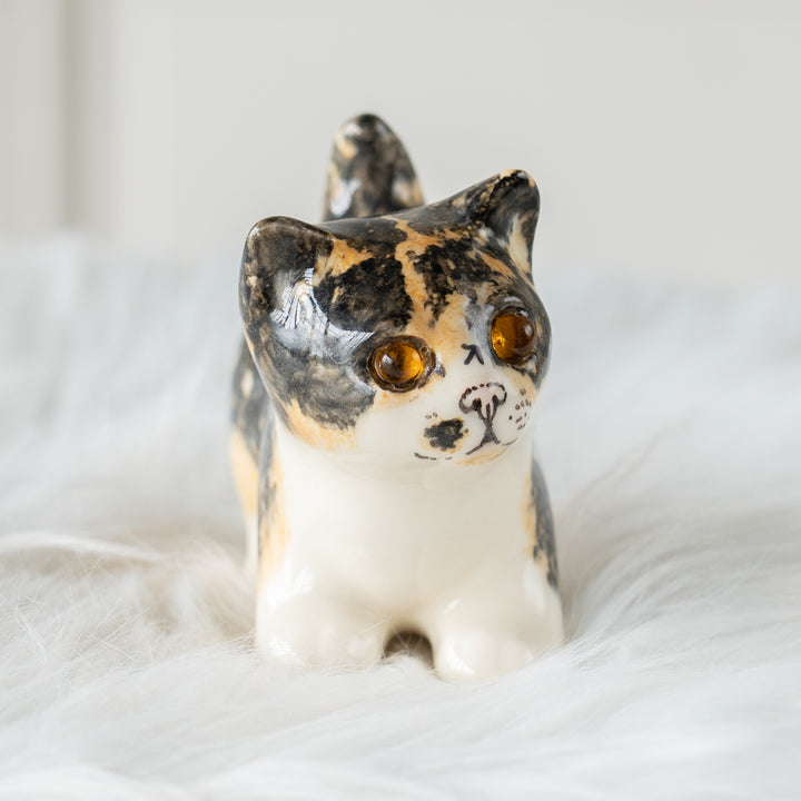 【Winstanley Cat ウィンスタンレイ キャット】クリームパンの様な手が愛らしい キャリコ 三毛猫 /26E