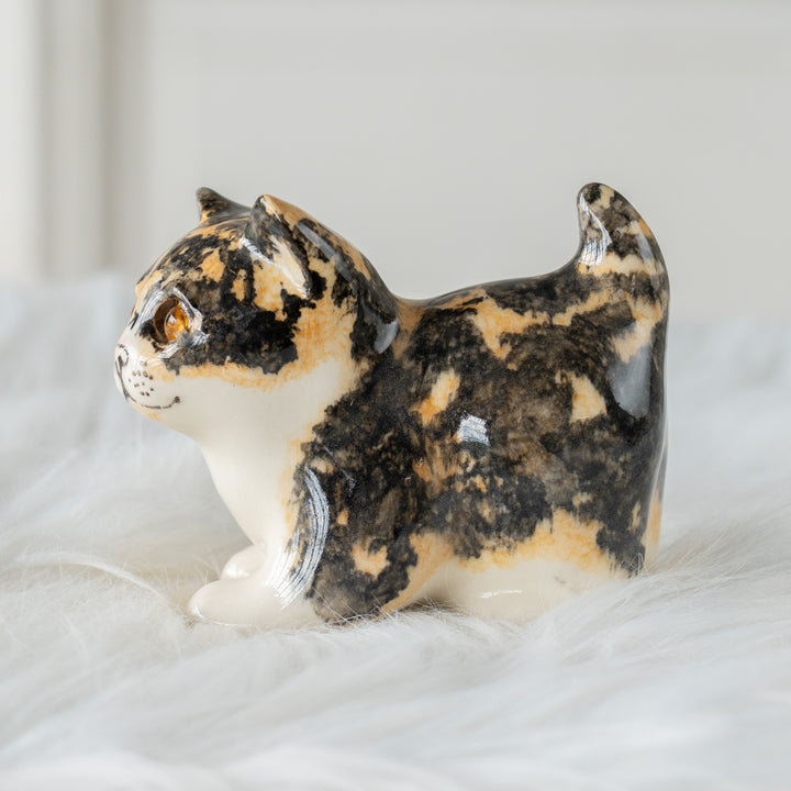 【Winstanley Cat ウィンスタンレイ キャット】クリームパンの様な手が愛らしい キャリコ 三毛猫 /26E