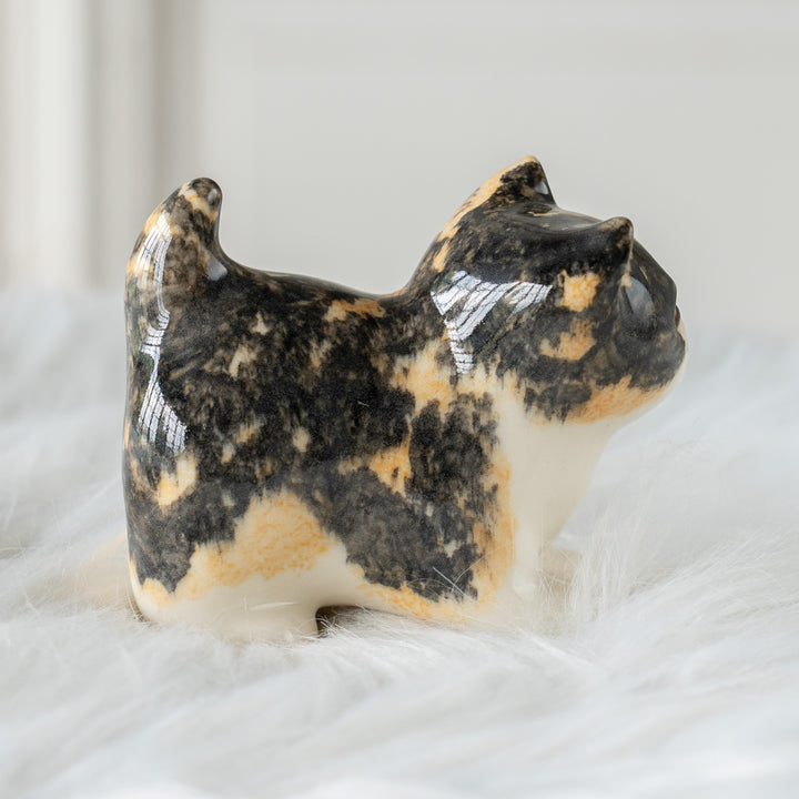 【Winstanley Cat ウィンスタンレイ キャット】クリームパンの様な手が愛らしい キャリコ 三毛猫 /26E
