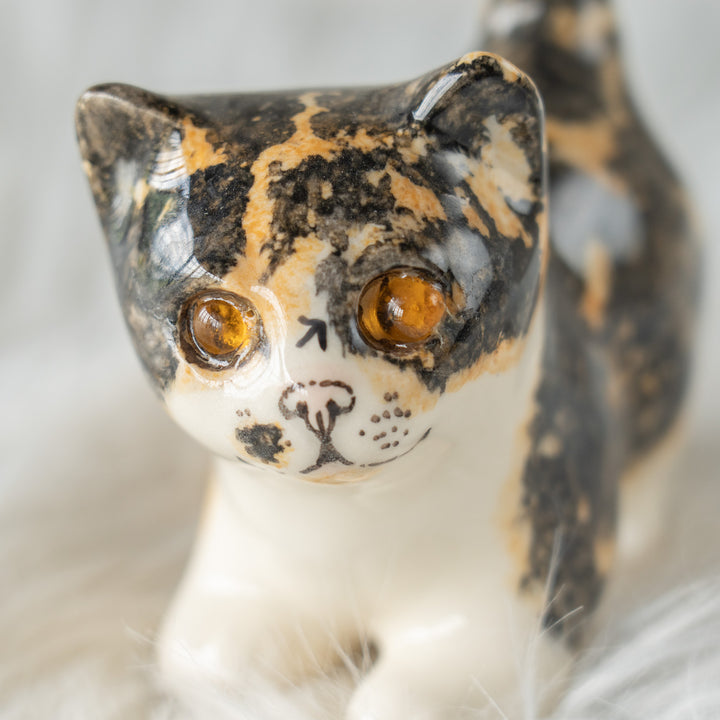 【Winstanley Cat ウィンスタンレイ キャット】クリームパンの様な手が愛らしい キャリコ 三毛猫 /26E