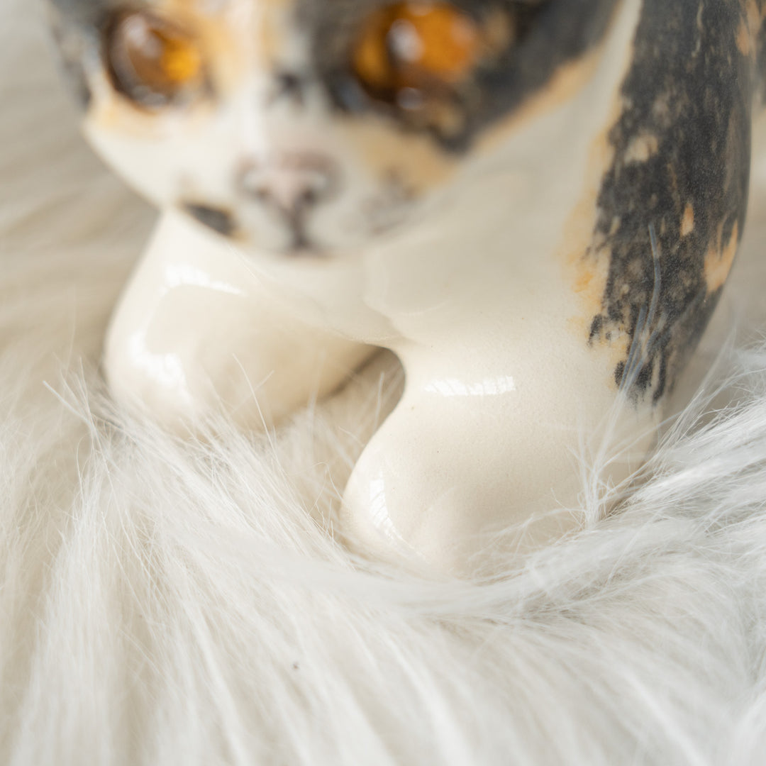 【Winstanley Cat ウィンスタンレイ キャット】クリームパンの様な手が愛らしい キャリコ 三毛猫 /26E