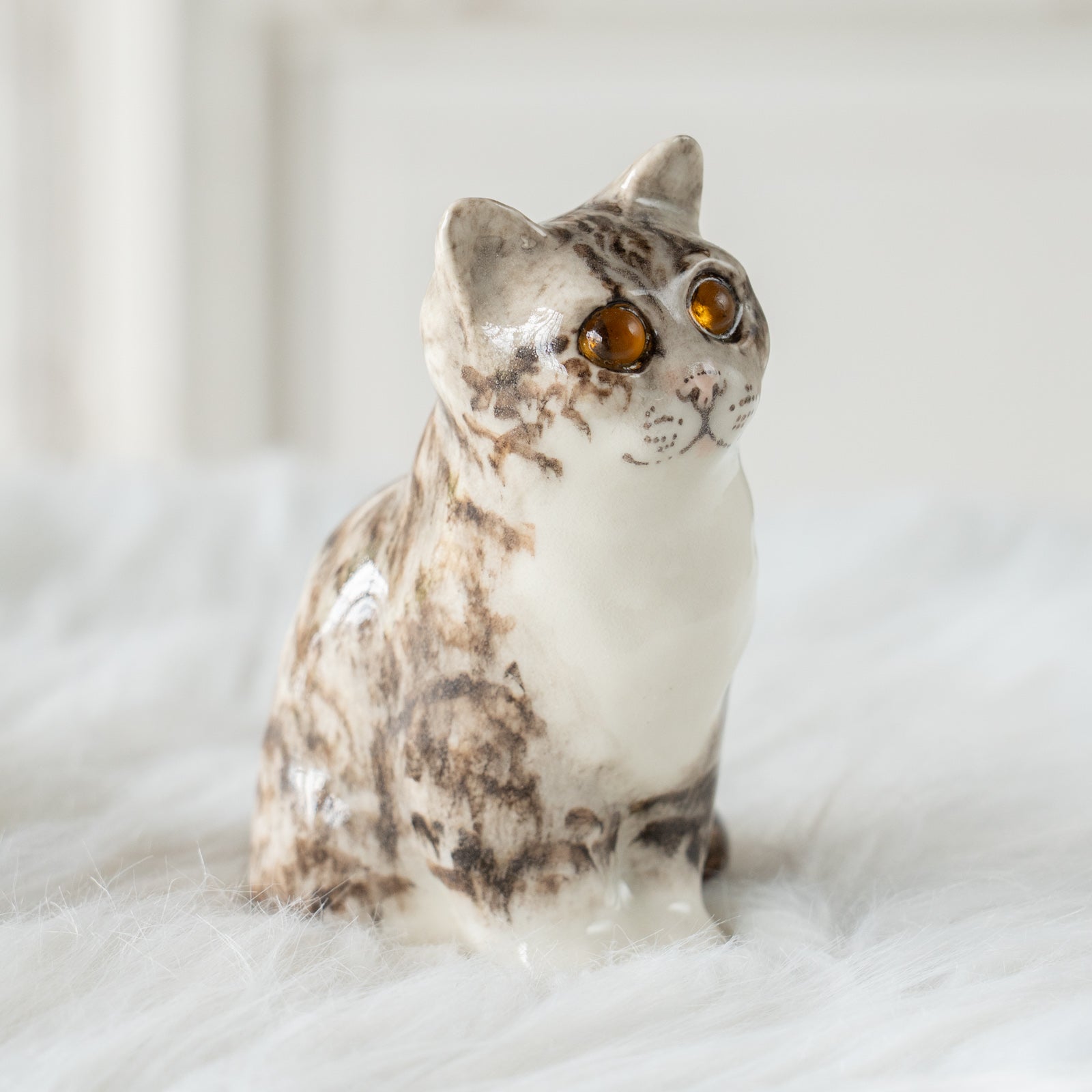 Winstanley Cat ウィンスタンレイ キャット】つぶらな瞳でじっと