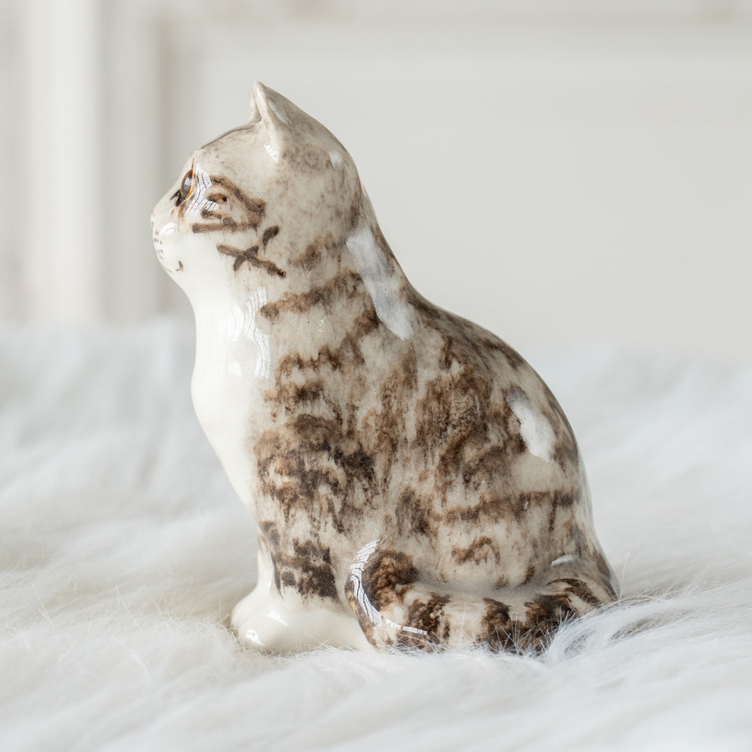 【Winstanley Cat ウィンスタンレイ キャット】つぶらな瞳でじっと見つめる シルバータビー サバトラ猫 /26E