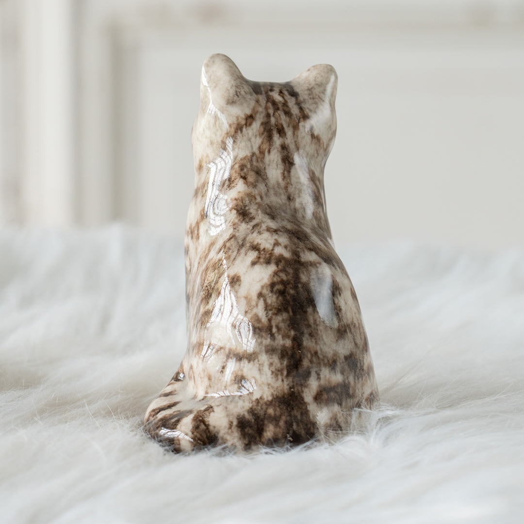 【Winstanley Cat ウィンスタンレイ キャット】つぶらな瞳でじっと見つめる シルバータビー サバトラ猫 /26E