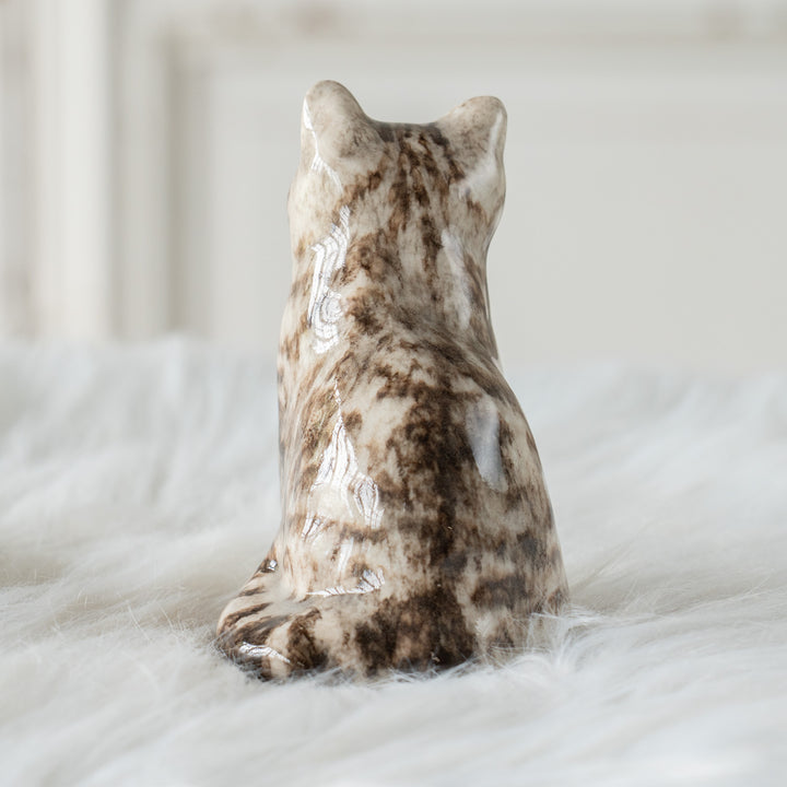 【Winstanley Cat ウィンスタンレイ キャット】つぶらな瞳でじっと見つめる シルバータビー サバトラ猫 /26E