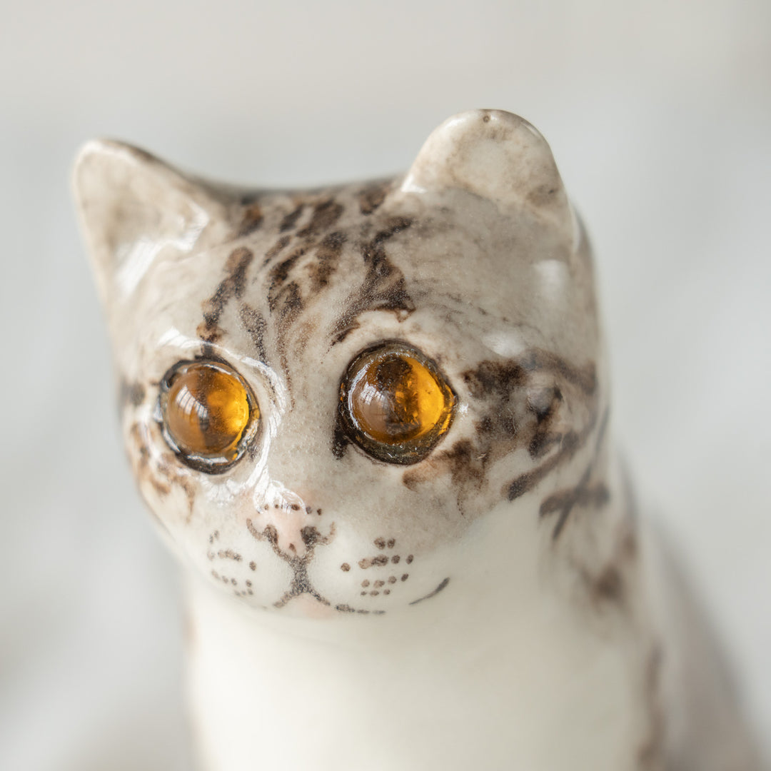 【Winstanley Cat ウィンスタンレイ キャット】つぶらな瞳でじっと見つめる シルバータビー サバトラ猫 /26E