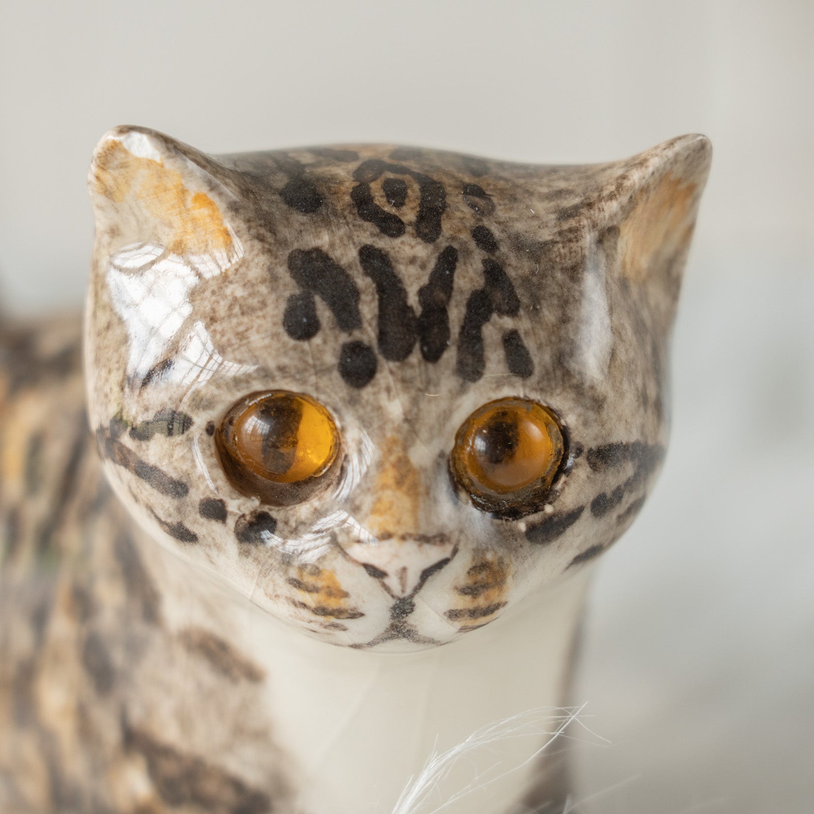 Winstanley Cat ウィンスタンレイ キャット】ピンと伸びた尻尾が目を