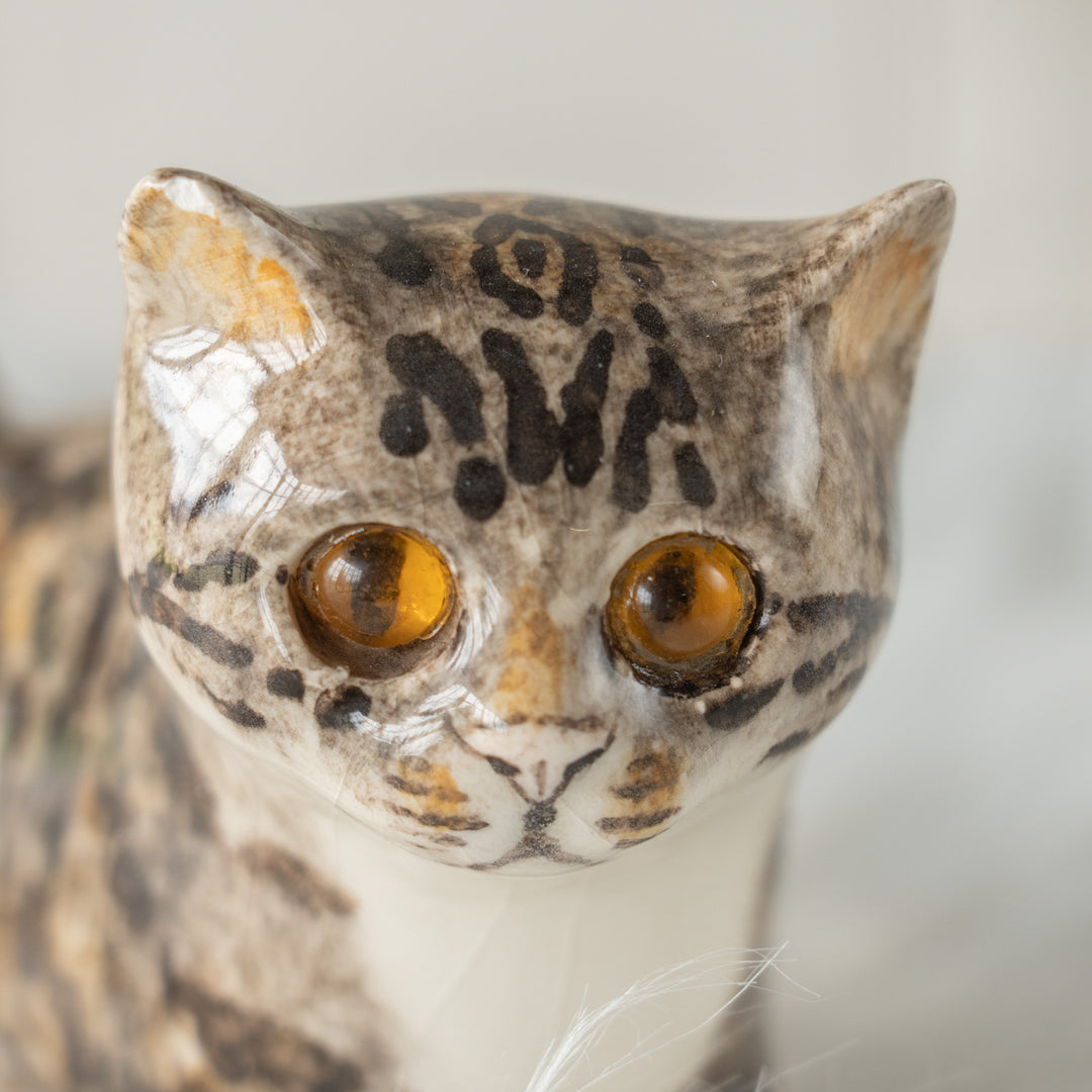【Winstanley Cat ウィンスタンレイ キャット】ピンと伸びた尻尾が目を惹く シルバータビー サバトラ猫 /26E