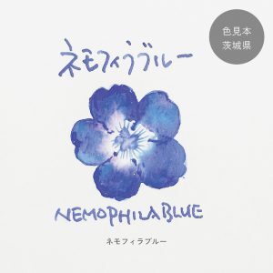 ねもふぃらページ ネモフィラブルー ◇茨城【ジョイフル本田×SAILOR オリジナル 万年筆