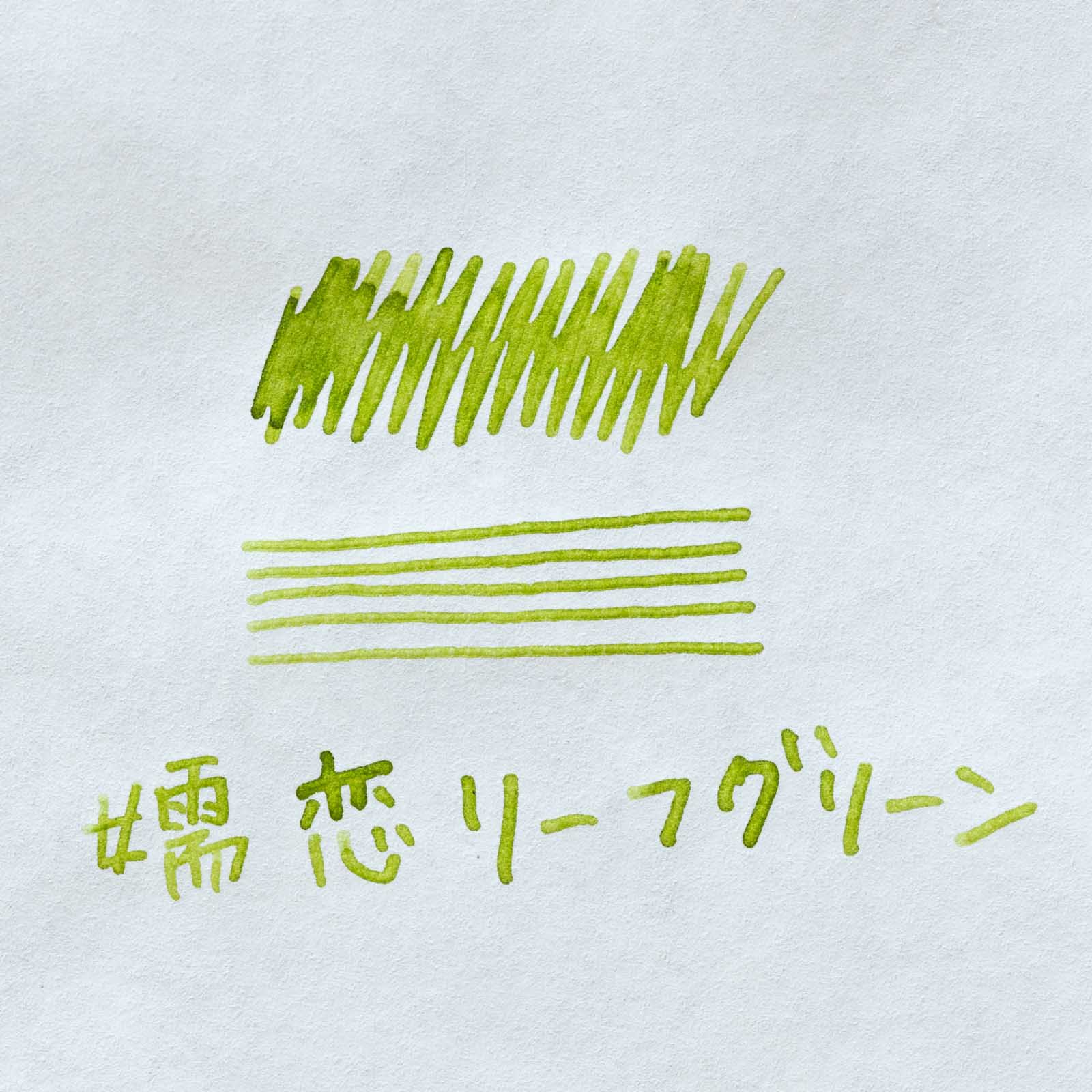 11月中旬入荷予定/嬬恋リーフグリーン ◇群馬【ジョイフル本田×SAILOR