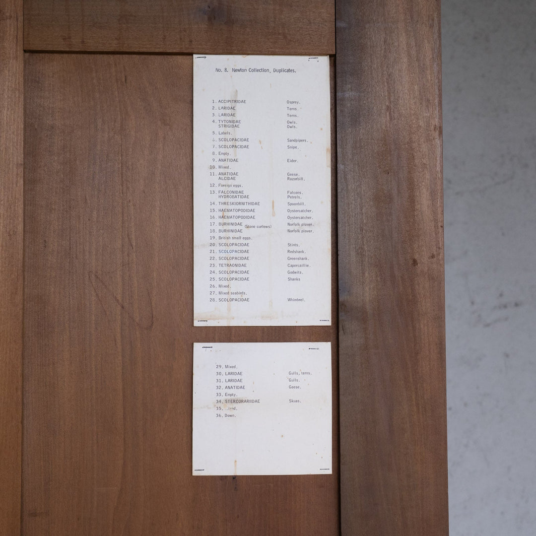 シンプルなデザインでたっぷり入る収納が魅力 キャビネット /15L