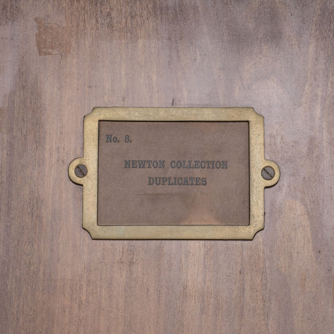 シンプルなデザインでたっぷり入る収納が魅力 キャビネット /15L