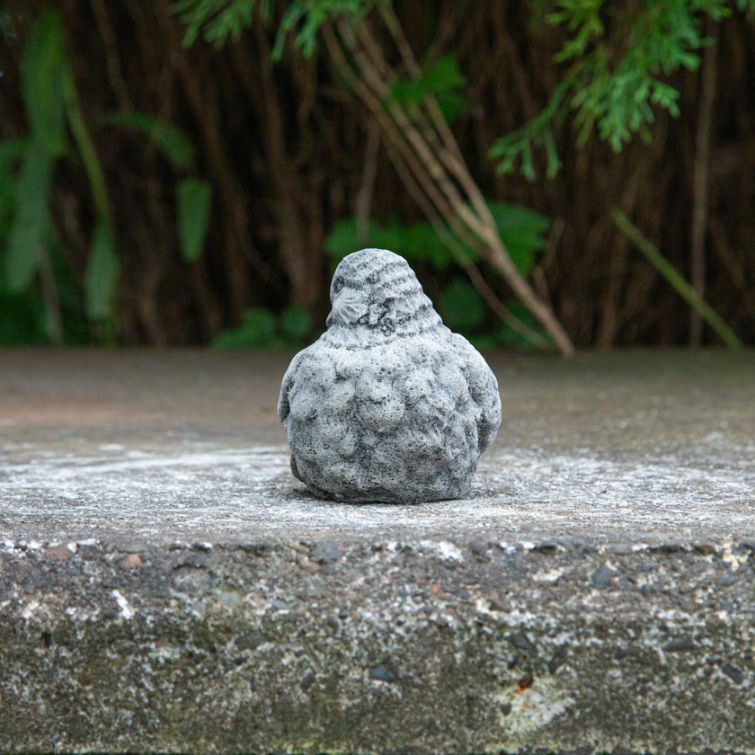 【ガーデンストーン】後ろが気になった、振り向きざまの小鳥[m]